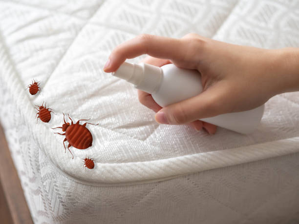 Best Pest Prevention Services  in Madras, OR